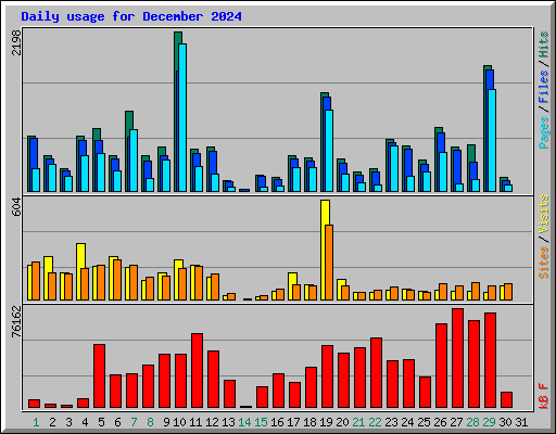 Daily usage for December 2024