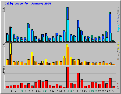 Daily usage for January 2025