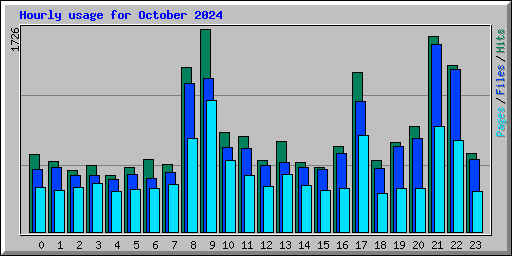 Hourly usage for October 2024