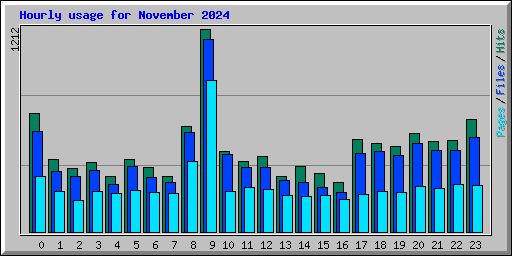 Hourly usage for November 2024