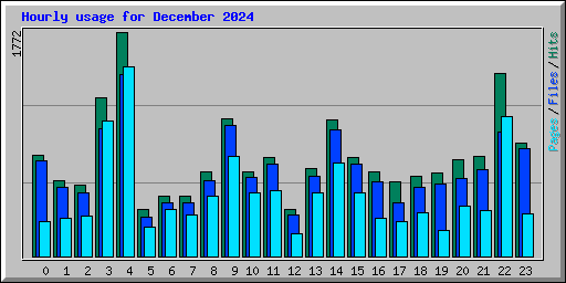 Hourly usage for December 2024