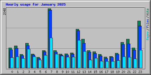 Hourly usage for January 2025