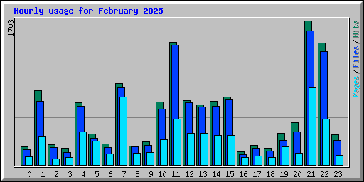 Hourly usage for February 2025