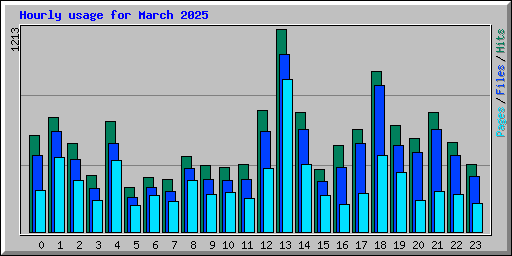 Hourly usage for March 2025