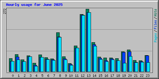Hourly usage for June 2025
