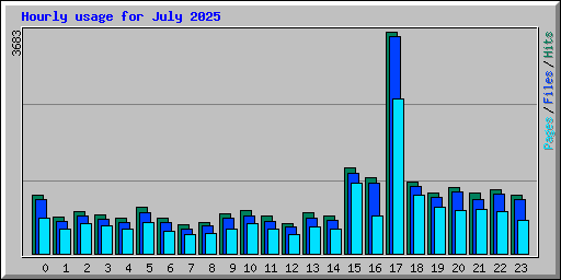 Hourly usage for July 2025