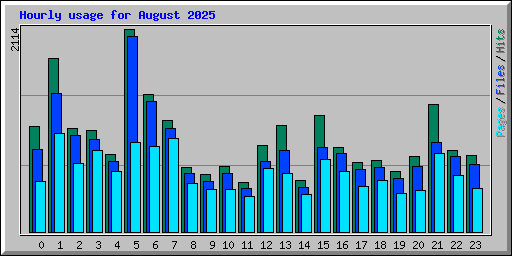 Hourly usage for August 2025