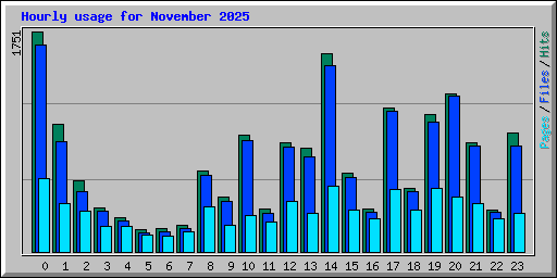 Hourly usage for November 2025