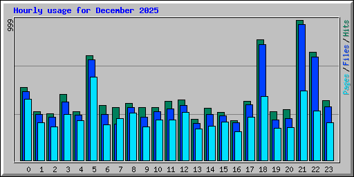 Hourly usage for December 2025